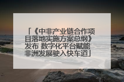 《中非产业链合作项目落地实施方案总纲》发布 数字化平台赋能非洲发展驶入快车道