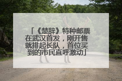 《楚辞》特种邮票在武汉首发，刚开售就排起长队，首位买到的市民直呼激动