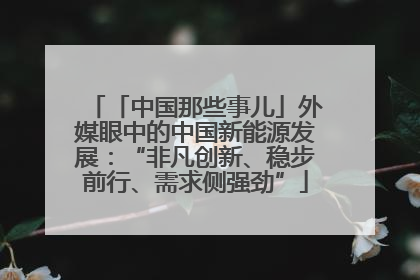 「中国那些事儿」外媒眼中的中国新能源发展：“非凡创新、稳步前行、需求侧强劲”