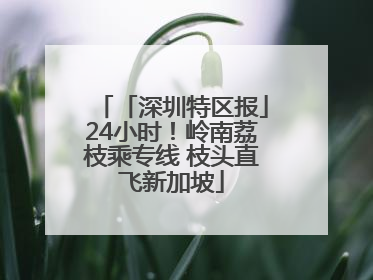 「深圳特区报」24小时！岭南荔枝乘专线 枝头直飞新加坡