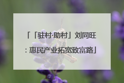 「驻村·助村」刘同旺：惠民产业拓宽致富路