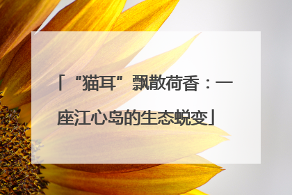 “猫耳”飘散荷香：一座江心岛的生态蜕变