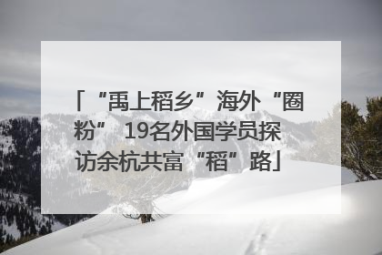 “禹上稻乡”海外“圈粉” 19名外国学员探访余杭共富“稻”路
