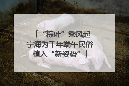 “粽叶”乘风起 宁海为千年端午民俗植入“新姿势”