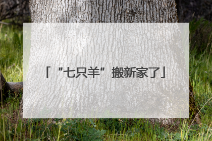 “七只羊”搬新家了
