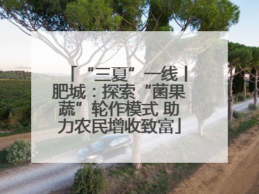 “三夏”一线丨肥城：探索“菌果蔬”轮作模式 助力农民增收致富
