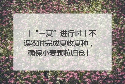 “三夏”进行时丨不误农时完成夏收夏种，确保小麦颗粒归仓