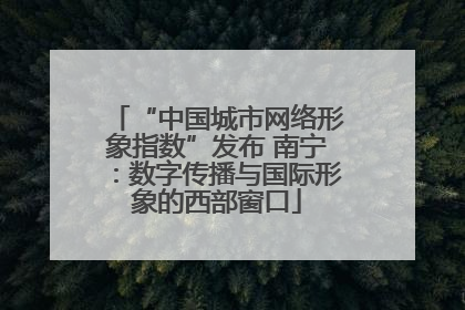 “中国城市网络形象指数”发布 南宁：数字传播与国际形象的西部窗口