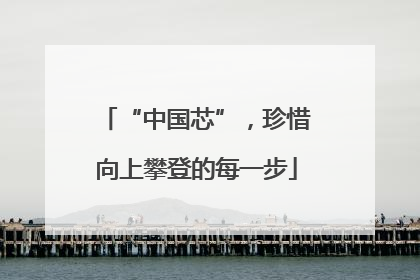 “中国芯”，珍惜向上攀登的每一步