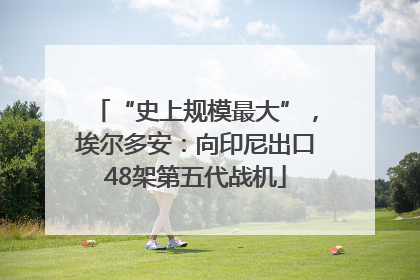 “史上规模最大”，埃尔多安：向印尼出口48架第五代战机