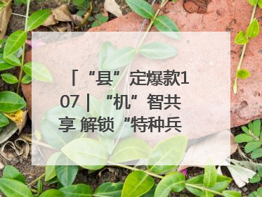 “县”定爆款107｜“机”智共享 解锁“特种兵团”的N种可能