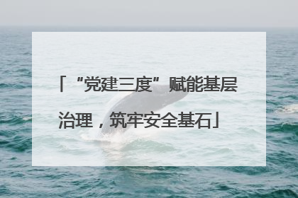 “党建三度”赋能基层治理，筑牢安全基石