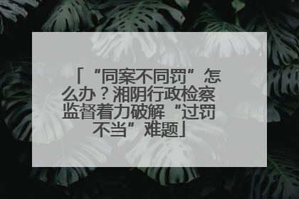 “同案不同罚”怎么办？湘阴行政检察监督着力破解“过罚不当”难题