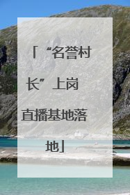 “名誉村长”上岗 直播基地落地