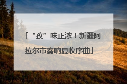“孜”味正浓！新疆阿拉尔市奏响夏收序曲