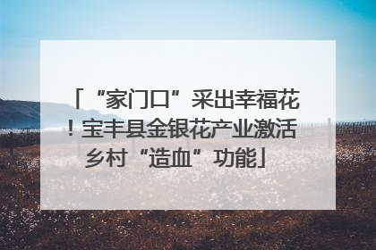 “家门口”采出幸福花！宝丰县金银花产业激活乡村“造血”功能