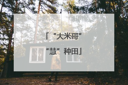 “大米哥”“慧”种田