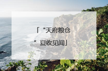 “天府粮仓”夏收见闻