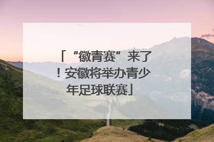 “徽青赛”来了！安徽将举办青少年足球联赛