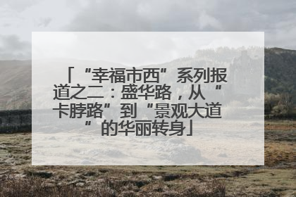 “幸福市西”系列报道之二：盛华路，从“卡脖路”到“景观大道”的华丽转身