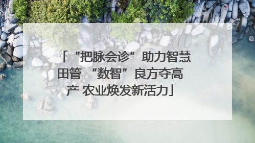 “把脉会诊”助力智慧田管 “数智”良方夺高产 农业焕发新活力