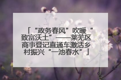 “政务春风”吹暖“致富沃土”——莱芜区商事登记直通车激活乡村振兴“一池春水”