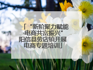 “新阶聚力赋能·电商共富振兴”阳信县劳店镇开展电商专题培训