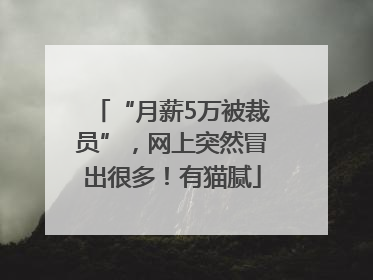 “月薪5万被裁员”，网上突然冒出很多！有猫腻