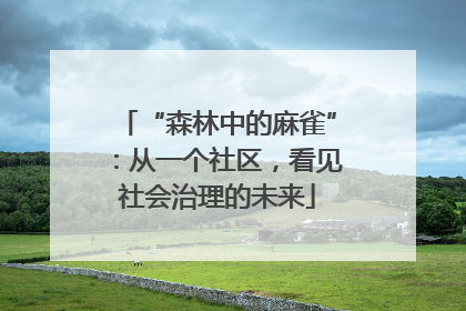 “森林中的麻雀”：从一个社区，看见社会治理的未来