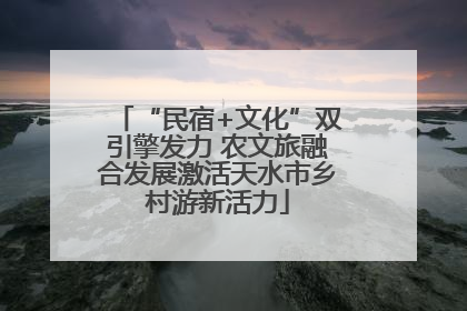 “民宿+文化”双引擎发力 农文旅融合发展激活天水市乡村游新活力