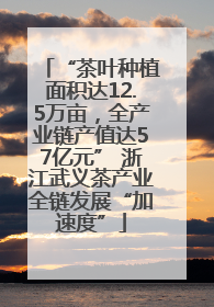 “茶叶种植面积达12.5万亩，全产业链产值达57亿元” 浙江武义茶产业全链发展“加速度”