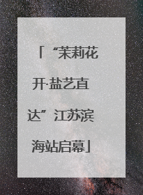“茉莉花开·盐艺直达”江苏滨海站启幕