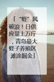 “蛏”风破浪！日供应量上万斤，青岛最大蛏子养殖区滩涂掘金
