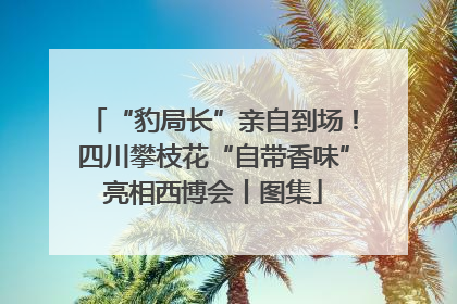 “豹局长”亲自到场！四川攀枝花“自带香味”亮相西博会丨图集
