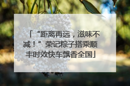 “距离再远，滋味不减！”荣记粽子搭乘顺丰时效快车飘香全国