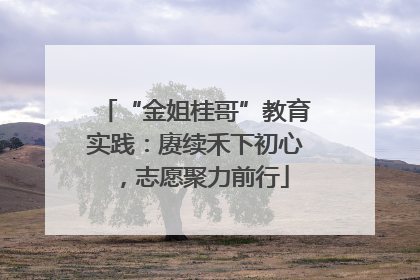 “金姐桂哥”教育实践：赓续禾下初心，志愿聚力前行