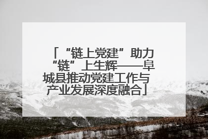 “链上党建”助力“链”上生辉——阜城县推动党建工作与产业发展深度融合