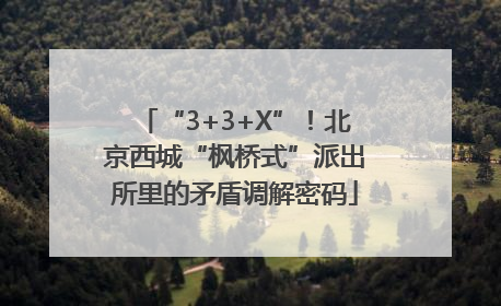“3+3+X”！北京西城“枫桥式”派出所里的矛盾调解密码