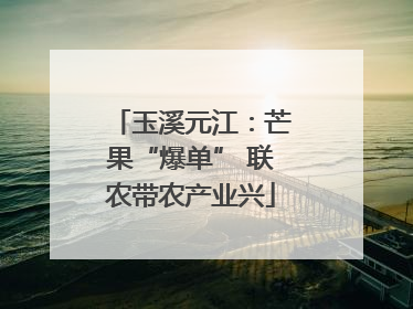 玉溪元江：芒果“爆单” 联农带农产业兴