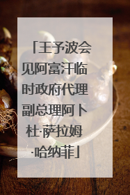 王予波会见阿富汗临时政府代理副总理阿卜杜·萨拉姆·哈纳菲