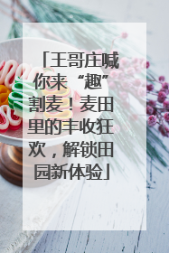 王哥庄喊你来“趣”割麦！麦田里的丰收狂欢，解锁田园新体验