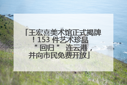 王宏喜美术馆正式揭牌！153 件艺术珍品 “ 回归 ” 连云港，并向市民免费开放
