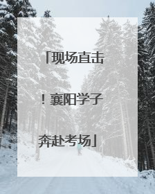 现场直击！襄阳学子奔赴考场