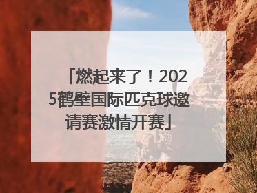燃起来了！2025鹤壁国际匹克球邀请赛激情开赛