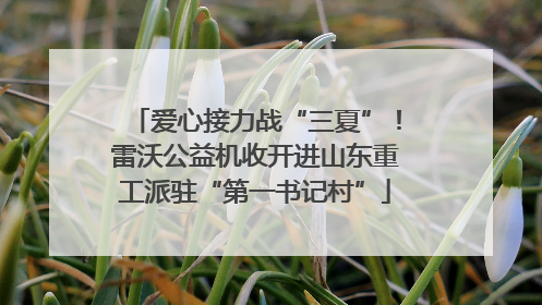 爱心接力战“三夏”！雷沃公益机收开进山东重工派驻“第一书记村”