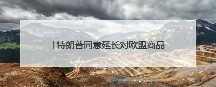 特朗普同意延长对欧盟商品征收50%关税的最后期限