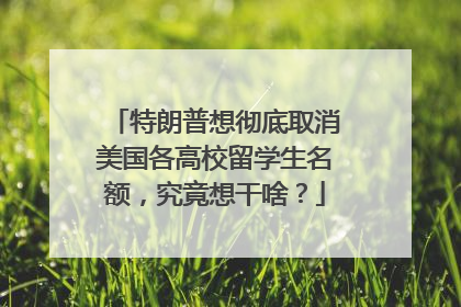 特朗普想彻底取消美国各高校留学生名额，究竟想干啥？