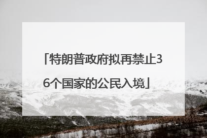 特朗普政府拟再禁止36个国家的公民入境