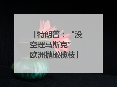 特朗普：“没空理马斯克” 欧洲抛橄榄枝