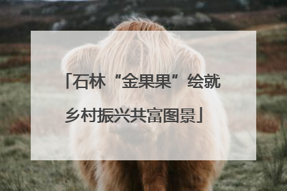 石林“金果果”绘就乡村振兴共富图景
